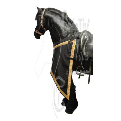 Caparaçon pour Cheval
