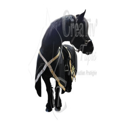 Caparaçon pour Cheval